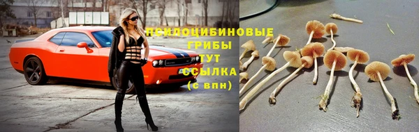 амф Армянск